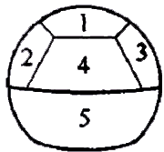 二級(jí)建造師考試市政實(shí)務(wù)知識(shí)點(diǎn)：噴錨暗挖法的掘進(jìn)方式選擇