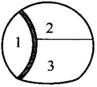 二級(jí)建造師考試市政實(shí)務(wù)知識(shí)點(diǎn)：噴錨暗挖法的掘進(jìn)方式選擇